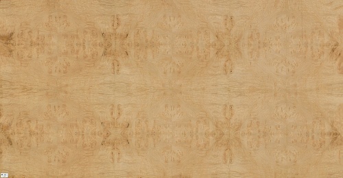 Сращенный шпон Каштан корень Сращенный шпон Каштан корень