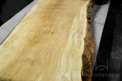 Слэб Клён Сикомора Frisse