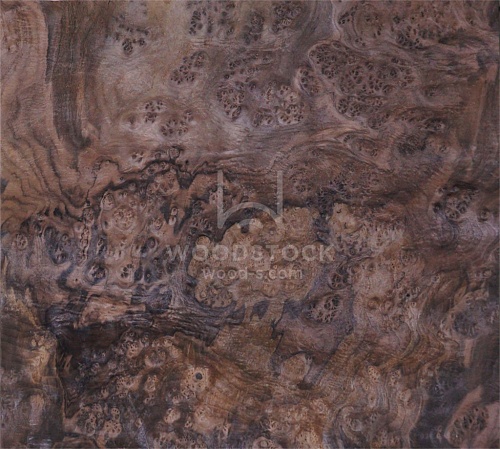 Натуральный шпон Орех корень Натуральный шпон Орех корень