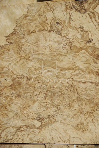 Натуральный шпон Ясень оливковый корень Натуральный шпон Ясень оливковый корень