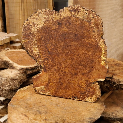 Амбойна корень