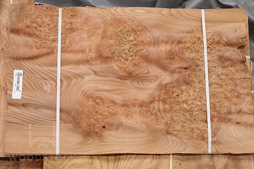 Натуральный шпон Ильм корень Натуральный шпон Ильм корень