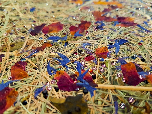 Экополотно ORGANOID Красочный Тироль Сваровски Экополотно ORGANOID Красочный Тироль Сваровски