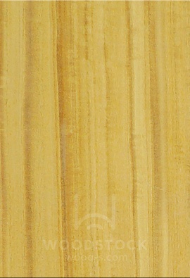 Натуральный шпон Цитрон 