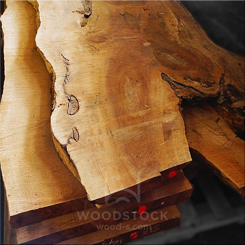 Слэбы Клен 75 мм Слэбы Клен 75 мм