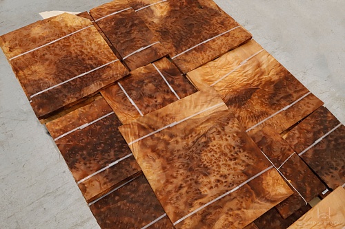 Натуральный шпон Камфора корень