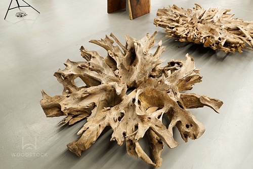 Тик корень Тик корень