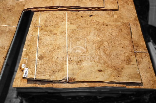 Натуральный шпон Дуб корень Натуральный шпон Дуб корень