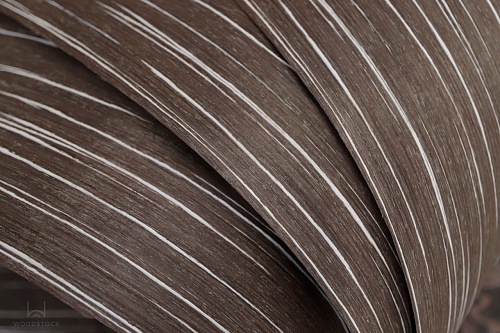 Коллекция ESPRESSO Мультишпон 03.004S Коллекция ESPRESSO Мультишпон 03.004S