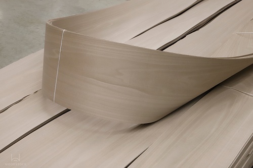 Тополь 52.003 Тополь 52.003