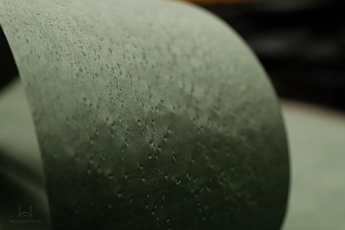 Клён Птичий глаз 05.079 Клён Птичий глаз 05.079