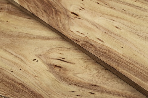 Акация Акация