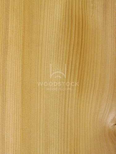 Натуральный шпон Кедр Ливанский Натуральный шпон Кедр Ливанский