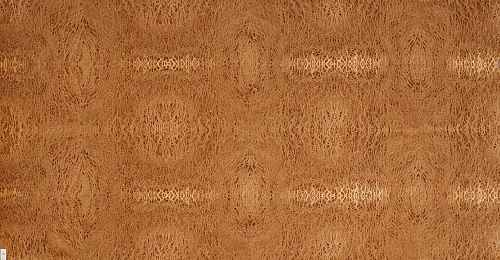 Сращенный шпон Вавона корень Сращенный шпон Вавона корень