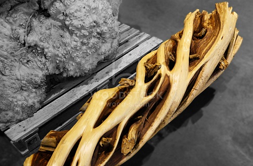 Другие формы Можжевельник [Juniper]