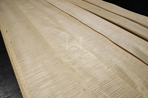 Натуральный шпон Сикоморо FRISSE Натуральный шпон Сикоморо FRISSE