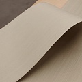 Коллекция BIANCHE NOTTI Мультишпон 00.170Q