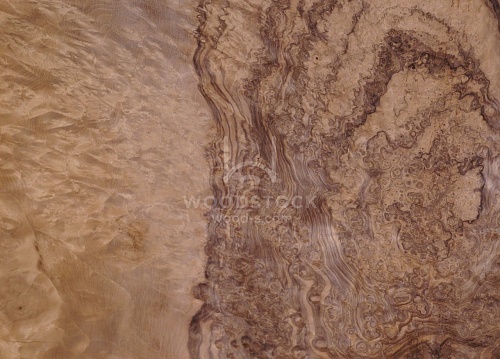 Натуральный шпон Орех европейский корень