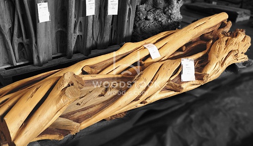 Другие формы Можжевельник [Juniper]