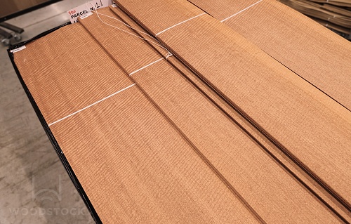 Сипо Frisse Сипо Frisse