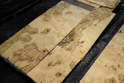 Натуральный шпон Ясень оливковый корень Натуральный шпон Ясень оливковый корень