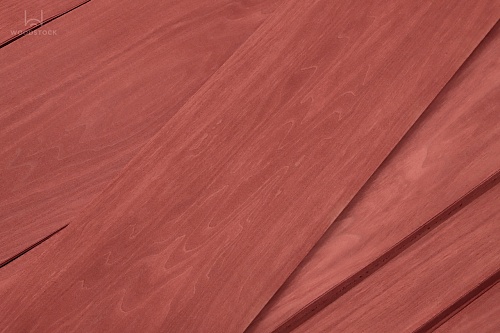 Тополь 52.095 Тополь 52.095