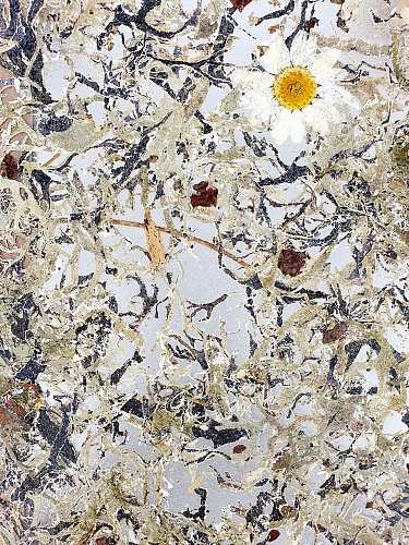 Экополотно ORGANOID Дикий Ягель Маргарита Экополотно ORGANOID Дикий Ягель Маргарита