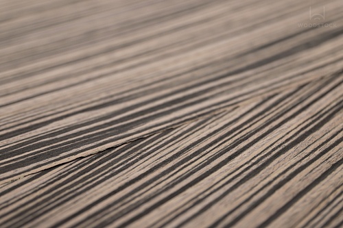 Коллекция BIANCHE NOTTI Мультишпон 7064S