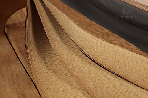 Даниэлла Frisse Даниэлла Frisse