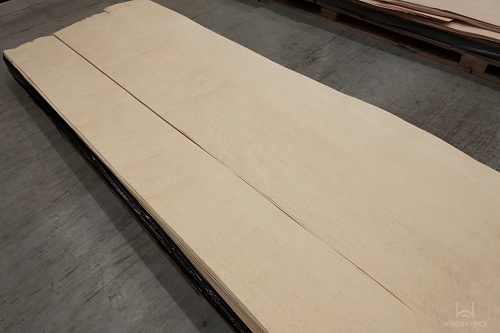 Натуральный шпон Клён «птичий глаз»