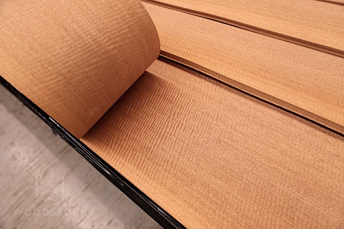 Сипо Frisse Сипо Frisse