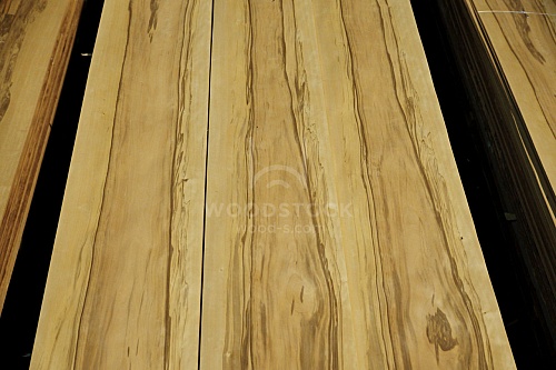 Натуральный шпон Айвори Натуральный шпон Айвори