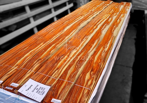 Натуральный шпон Такула Натуральный шпон Такула