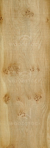 Натуральный шпон Дуб Pepper 3D