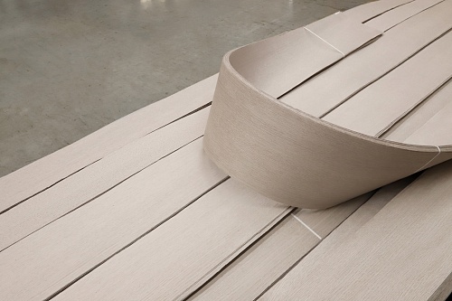 Дуб 13.033 Дуб 13.033