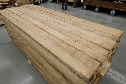 Дуб Дальневосточный