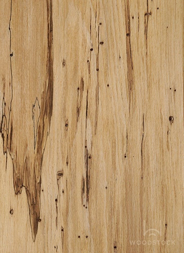 Натуральный шпон Бук ЭКО