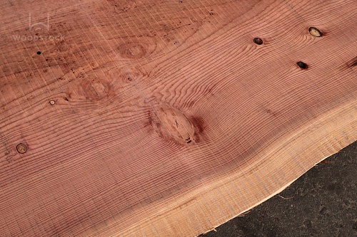 Пиломатериалы Секвойя, слэб Пиломатериалы Секвойя, слэб