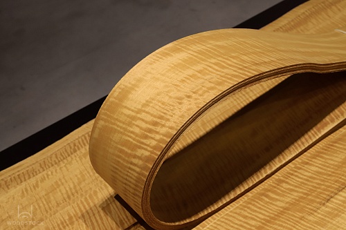 Натуральный шпон Мовингу FRISSE