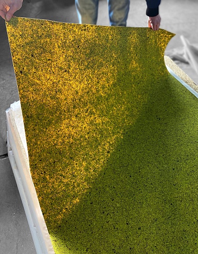 Экополотно ORGANOID Мох Лойташ MOUS HELLGRIAN Экополотно ORGANOID Мох Лойташ MOUS HELLGRIAN