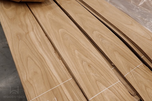 Павловния Павловния