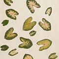 Экополотно Tropical Heart