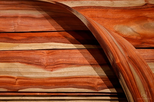 Натуральный шпон Такула Натуральный шпон Такула