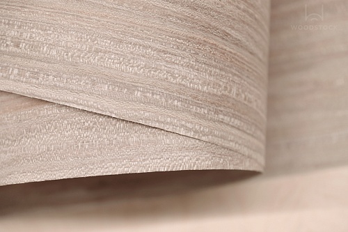 Коллекция BIANCHE NOTTI Мультишпон 8614S