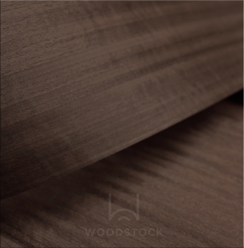 Эвкалипт E5.B01 Эвкалипт E5.B01