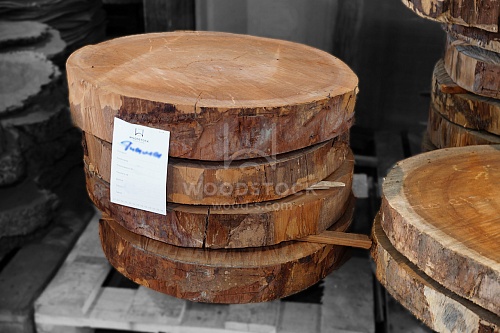 Поперечные срезы дерева Поперечные срезы дерева