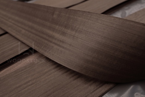 Эвкалипт E5.B01 Эвкалипт E5.B01