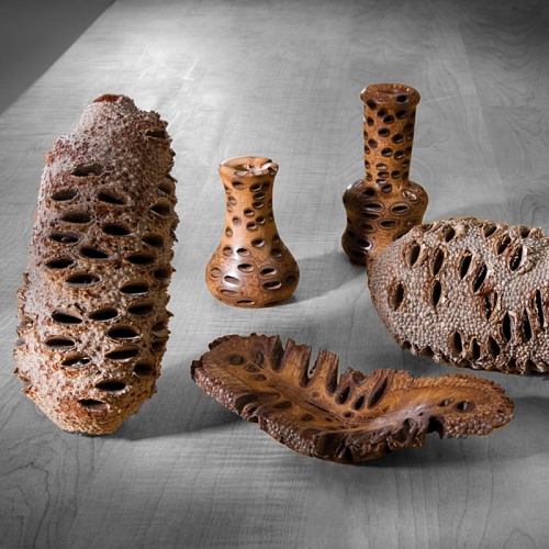 Другие формы Банксия [Banksia]