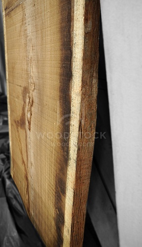 Ироко, слэбы в ассортименте Ироко, слэбы в ассортименте