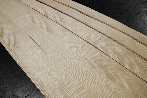 Натуральный шпон Сикоморо FRISSE Натуральный шпон Сикоморо FRISSE